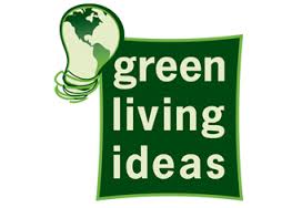 Dayton Home Inspection Green Living Ideas