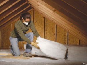 Dayton Home Inspection a woman adding insulation in the attic