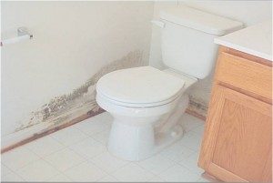 Indoor Air Quality Testing Dayton Ohio Bathroom Toilet