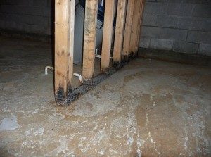Indoor Air Quality Testing Dayton Ohio Wooden Moisture Gate
