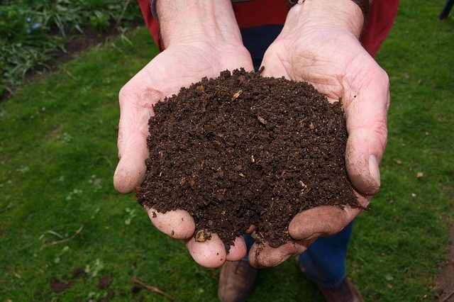 Quick Home Composting Tips
