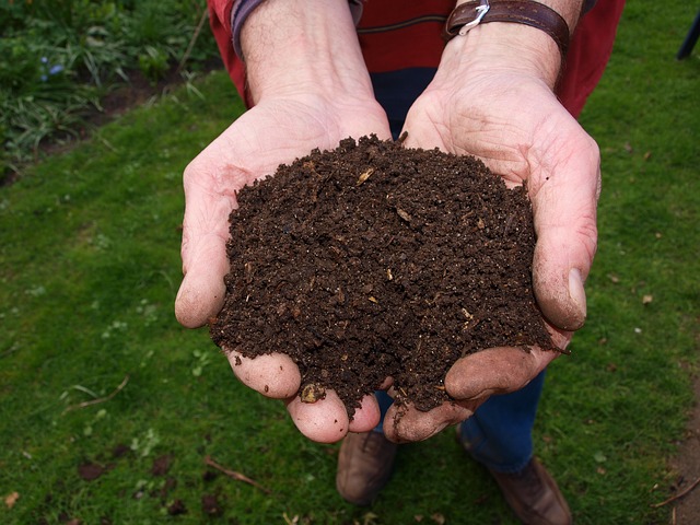 Quick Home Composting Tips
