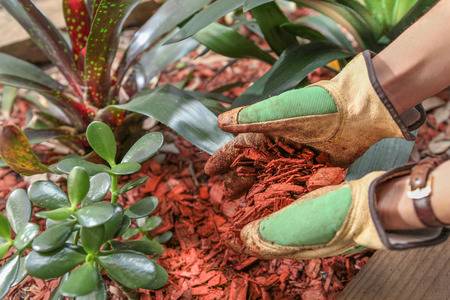 Xeriscaping-5 Water-Conserving Landscaping Ideas