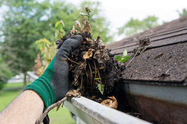 Your Guide To Better Gutter Care