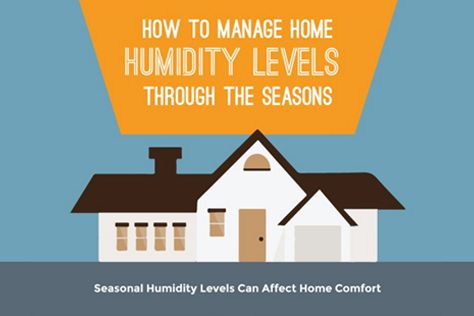 Too Damp or Too Dry How to Solve Humidity Issues In Your Home