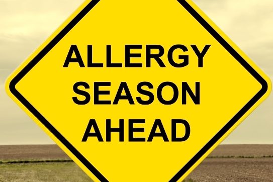 4-easy-ways-to-beat-allergies-this-year