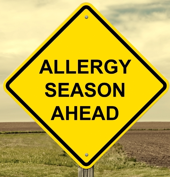 4-easy-ways-to-beat-allergies-this-year