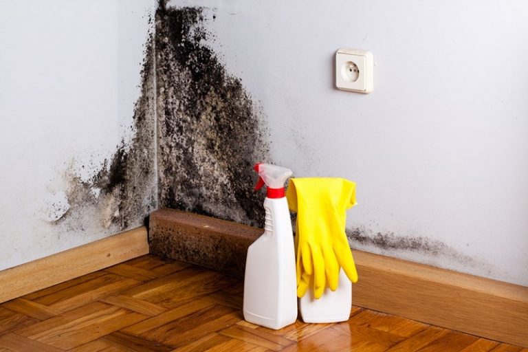 using-borax-to-remove-and-clean-mold