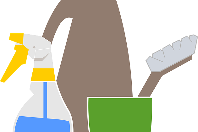 be-proactive-in-cleaning-and-preventing-mold