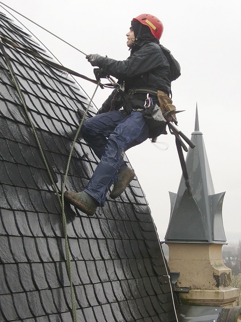 how-to-spot-the-source-of-a-roof-leak