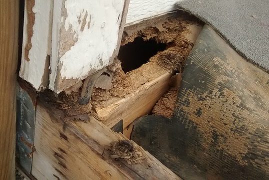 simple-and-quick-preventative-maintenance-tips-for-your-home