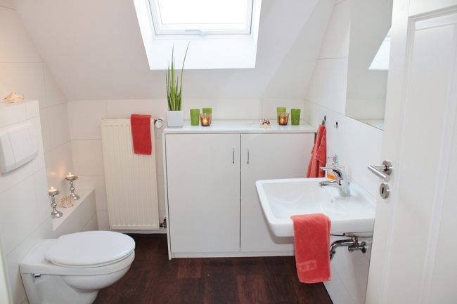 how-to-withdraw-an-item-from-the-toilet