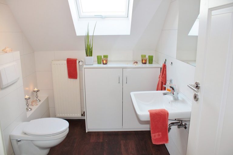 how-to-withdraw-an-item-from-the-toilet