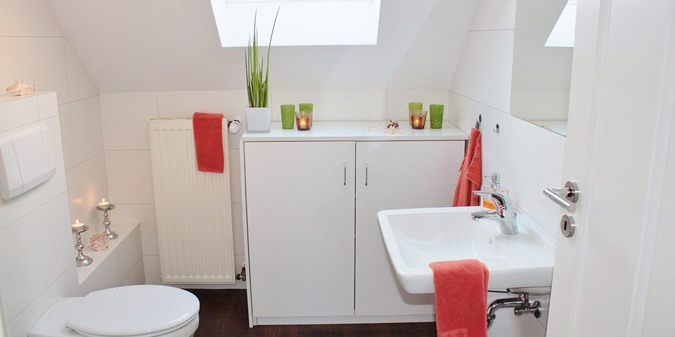 how-to-withdraw-an-item-from-the-toilet