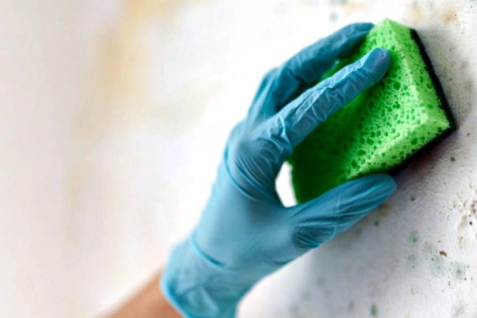 follow_these_hands_on_hints_to_rid_your_home_of_mold