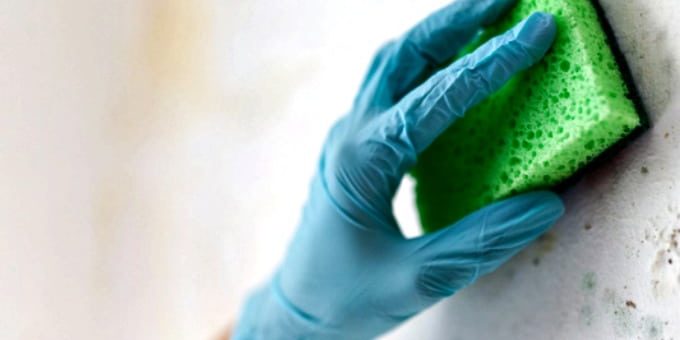 follow_these_hands_on_hints_to_rid_your_home_of_mold