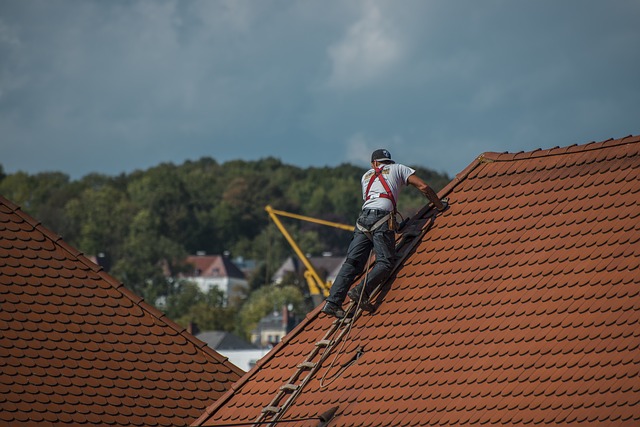 what-you-need-to-know-about-roof-repair