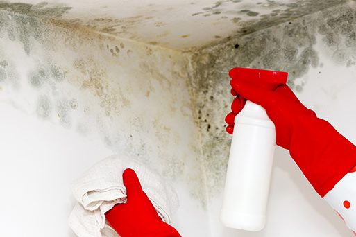 control-condensation-to-control-basement-mold