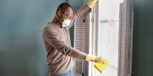 looking-for-mold-in-all-the-wrong-places