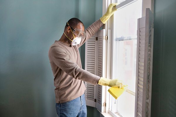 looking-for-mold-in-all-the-wrong-places