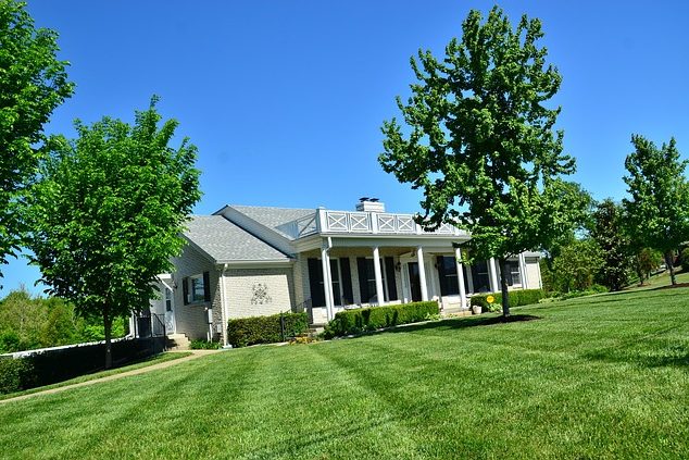Fertilize-your-lawn-to-Foster-New-Growth