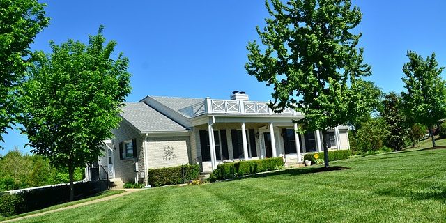 Fertilize-your-lawn-to-Foster-New-Growth