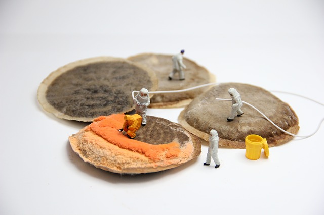 Test-Your-Foreclosure-Investment-for-Mold