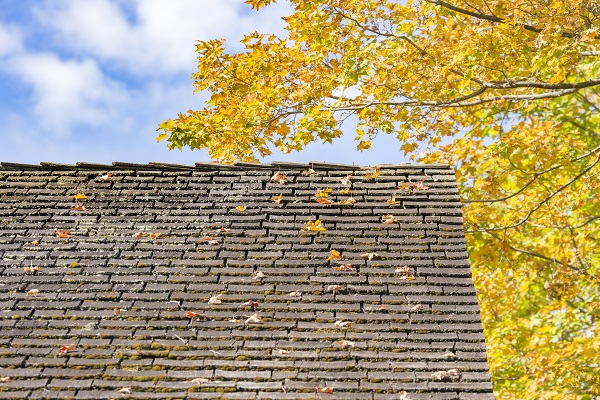 Inspect-and-Repair-Your-Roof