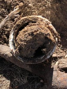 Accutech Home Inspections Sewer Scope inspection root clogged SewerGard