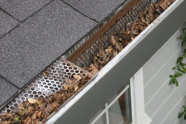Clean-Gutters-Help-Prevent-Foundation-Issues