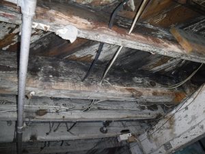 Accutech Home Inspection Centerville mold biogrowth MoldSafe Warranty