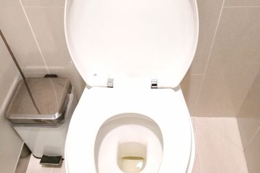 How-Inspecting-Your-Toilet-Can-Save-You-Money