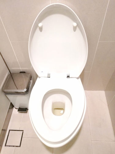 How-Inspecting-Your-Toilet-Can-Save-You-Money