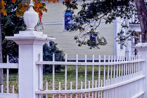 White-Pumpkins-Painted-Pumpkins-How-to-Create-a-PhotoWorthy-Fall-Backdrop-for-Your-Home