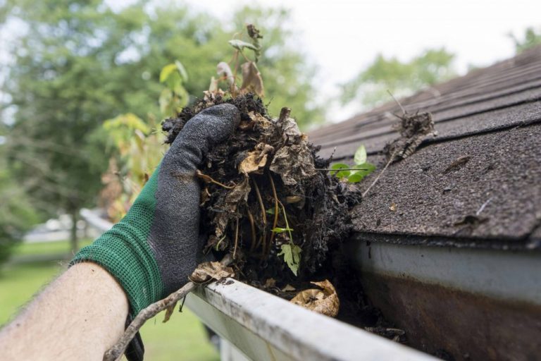 Clean-Your-Gutters-in-Spring-and-Fall