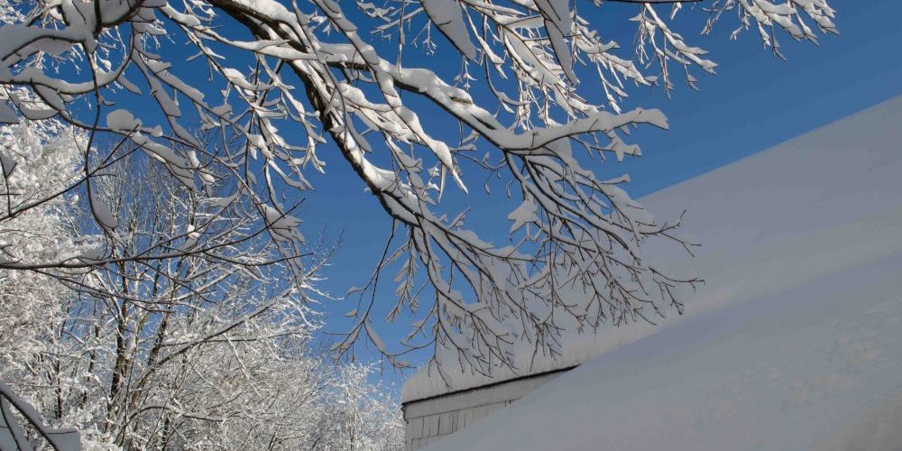 Winter-Checklist-Keep-Your-Branches-Clean