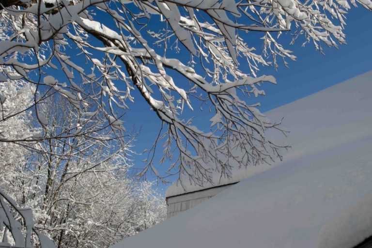 Winter-Checklist-Keep-Your-Branches-Clean