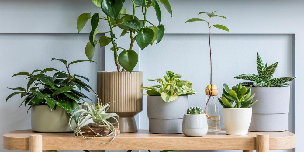 Add-a-Splash-of-Green-to-Your-Home-Decor Add-a-Splash-of-Green-to-Your-Home-Decor
