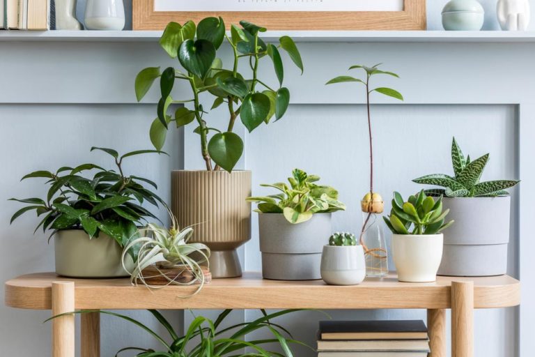 Add-a-Splash-of-Green-to-Your-Home-Decor Add-a-Splash-of-Green-to-Your-Home-Decor