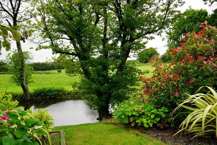 Landscaping Renovations to Boost Curb Appeal