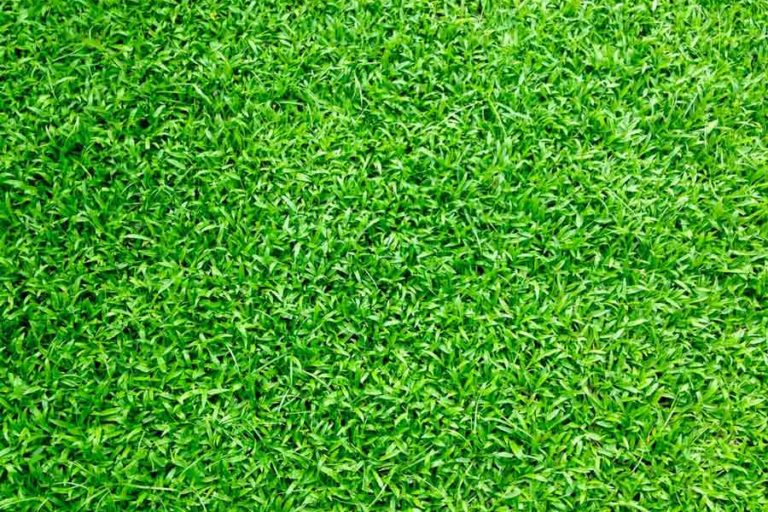 The Top Advantages of Synthetic Turf